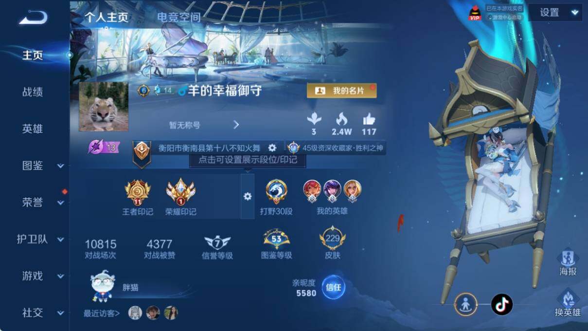 WZ033197500王者荣耀账号详情图6