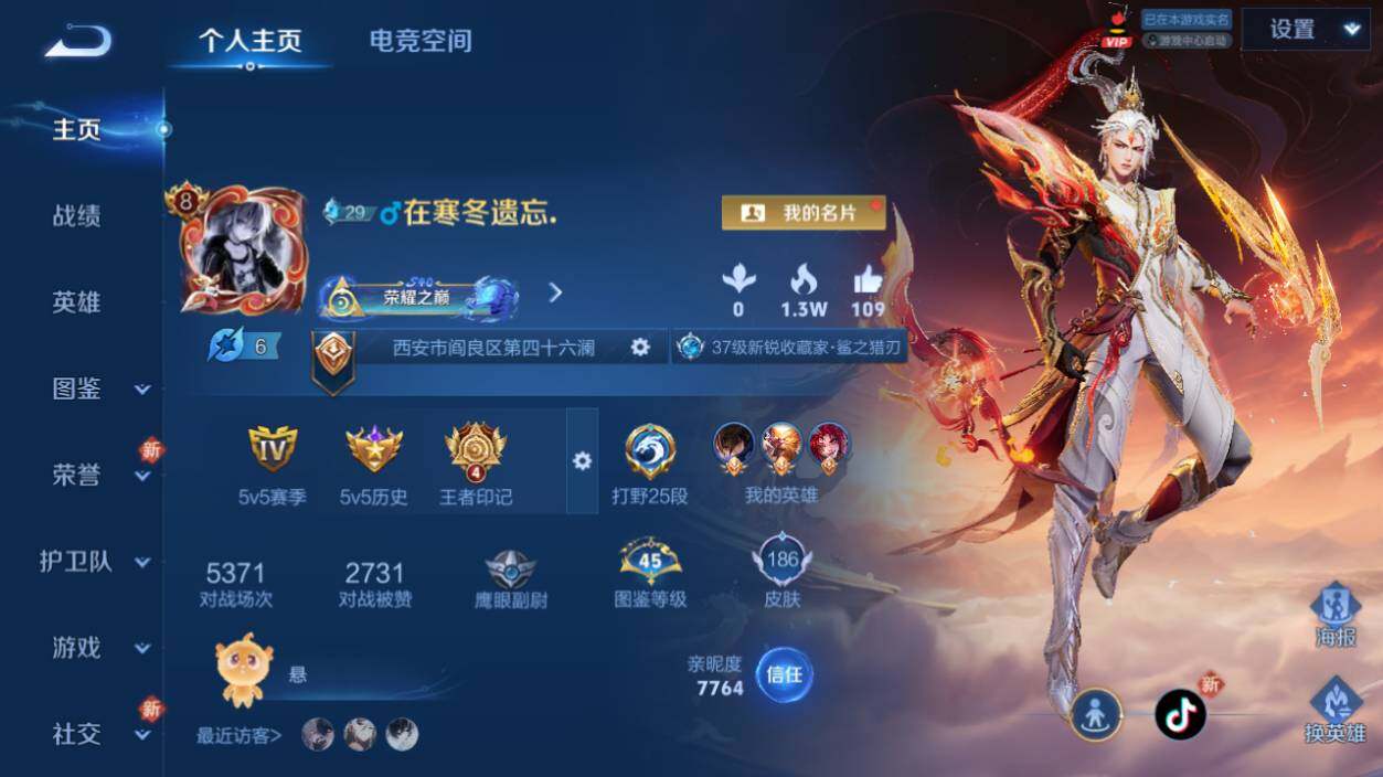 WZ033197531王者荣耀账号详情图10