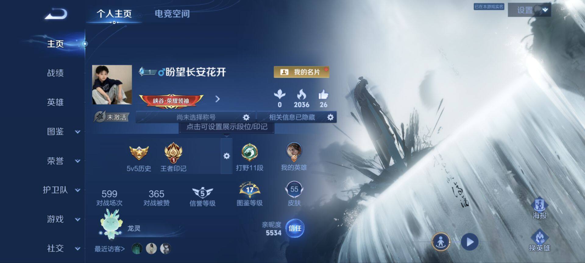 WZ033198477王者荣耀账号详情图12
