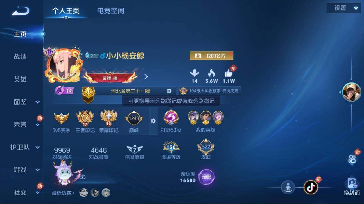 WZ033198013王者荣耀账号详情图19