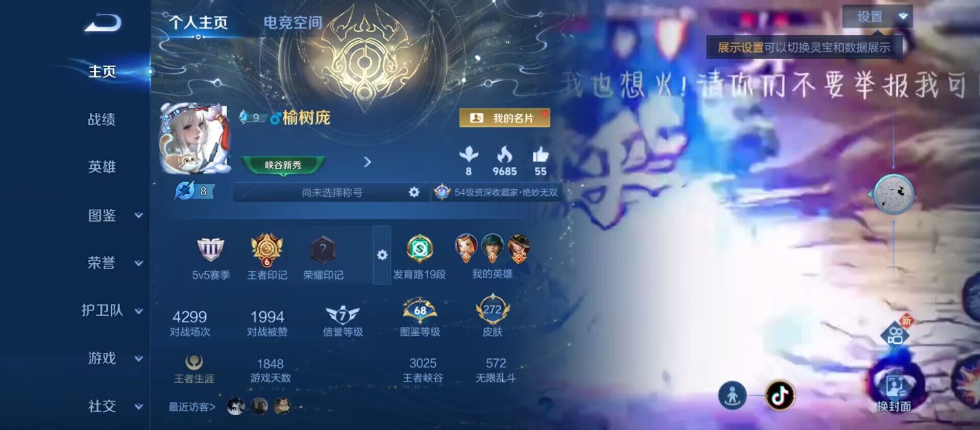 WZ033198219王者荣耀账号详情图12 WZ033198219王者荣耀账号详情图12