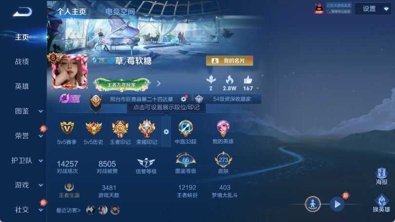 WZ033198410王者荣耀账号详情图8 WZ033198410王者荣耀账号详情图8