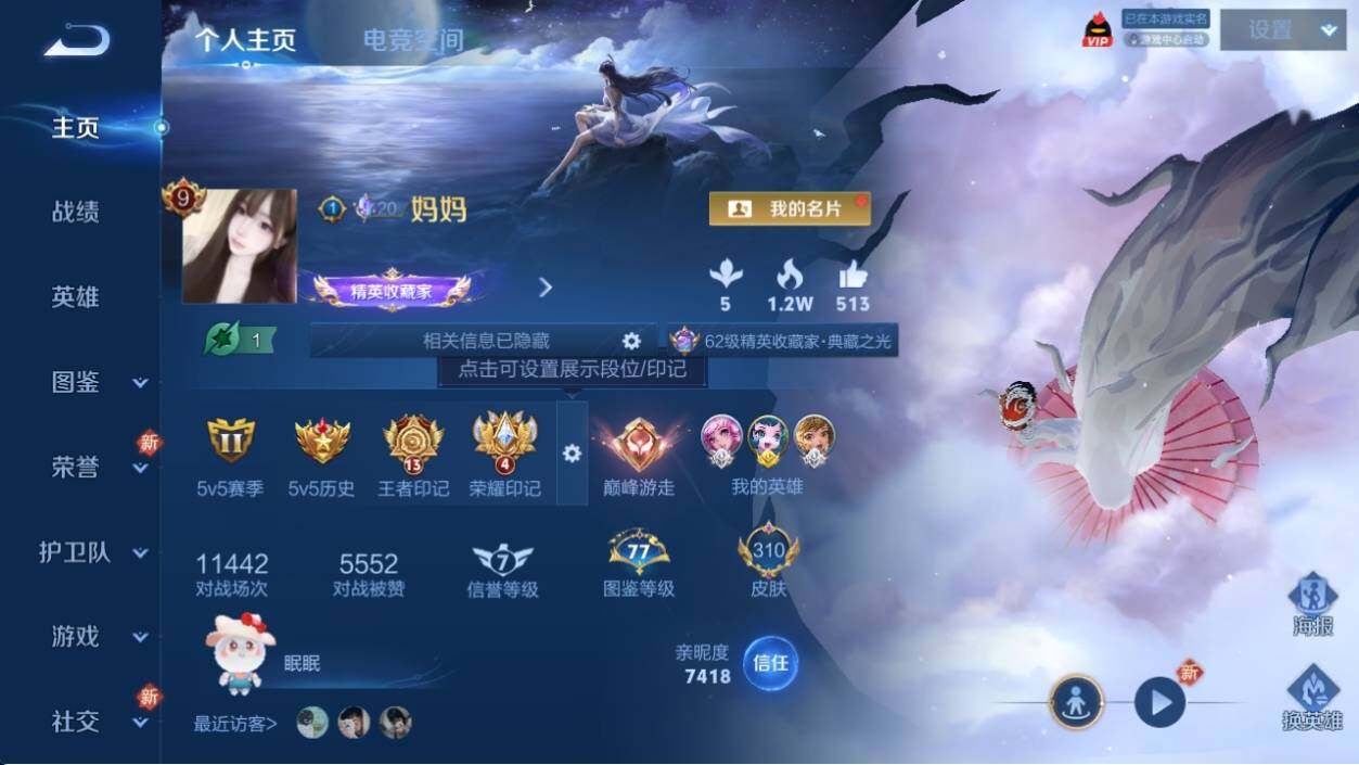 WZ033199113王者荣耀账号详情图13