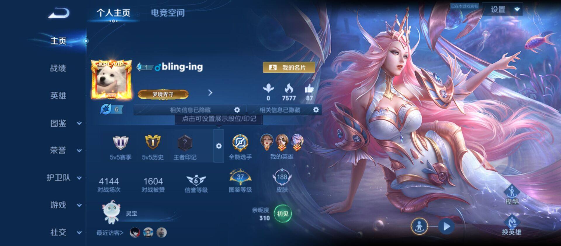 WZ033199229王者荣耀账号详情图12 WZ033199229王者荣耀账号详情图12