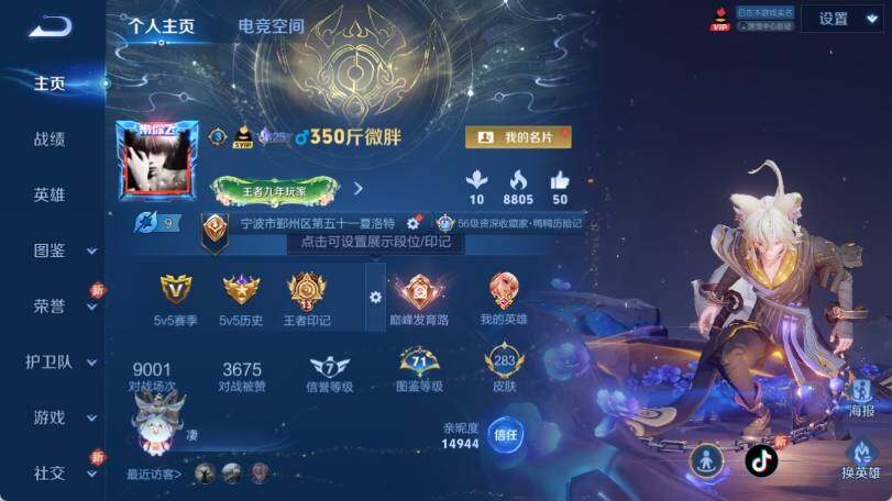 WZ033201361王者荣耀账号详情图8 WZ033201361王者荣耀账号详情图8