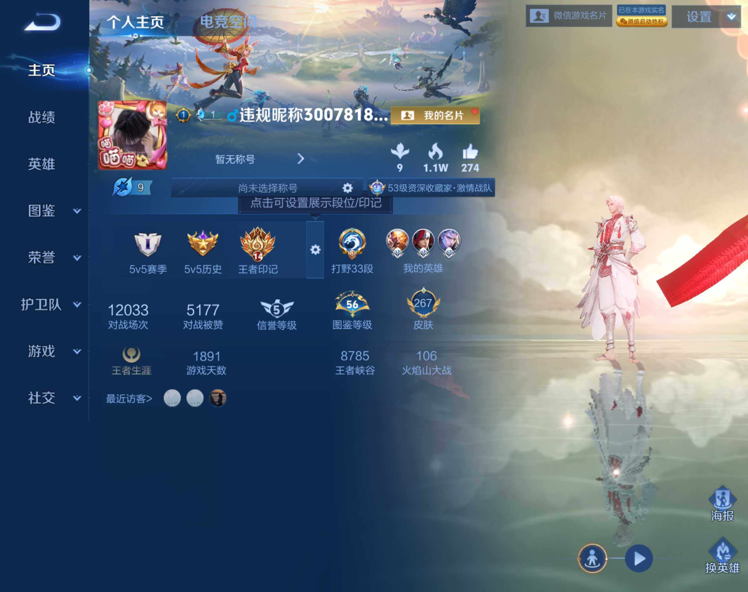 WZHJJ3207105王者荣耀账号详情图8