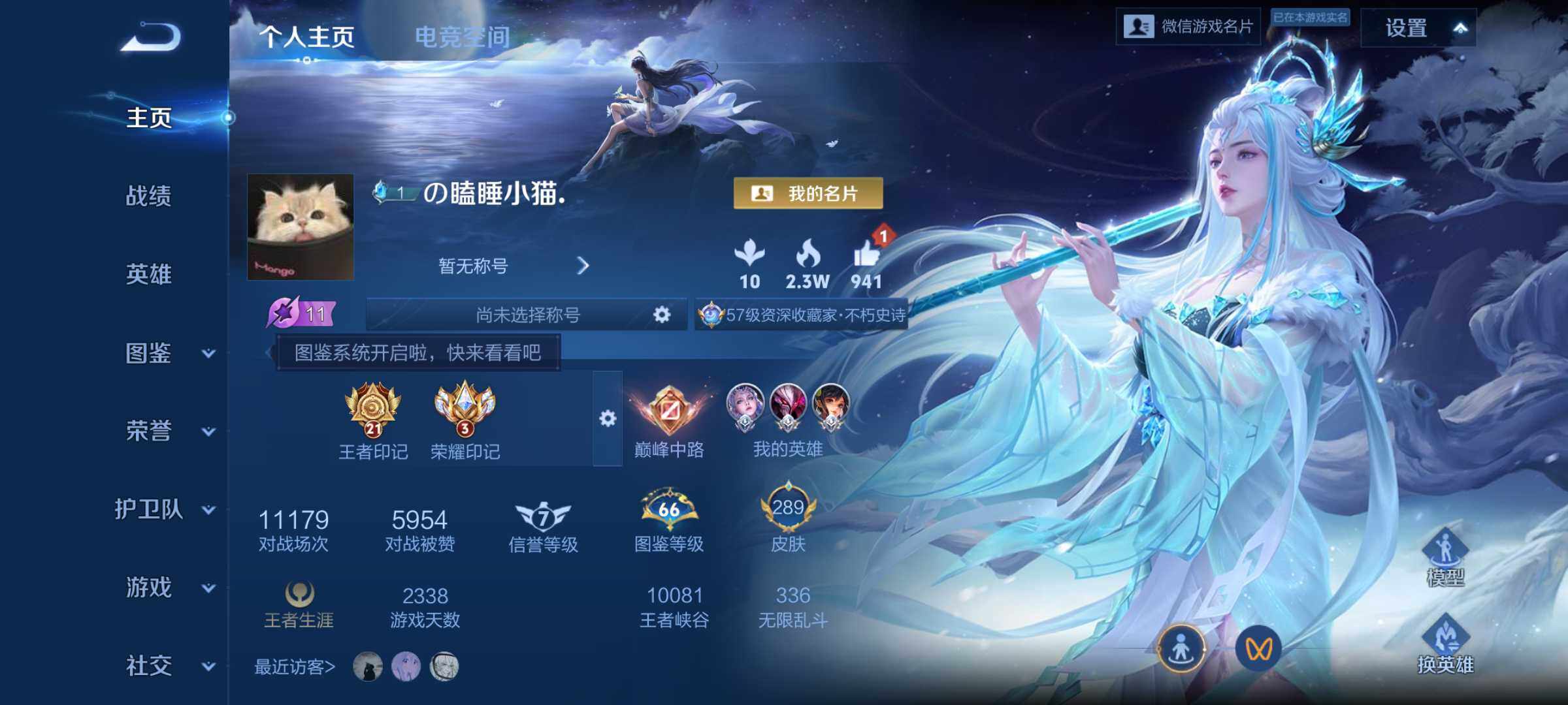 WZHJJ3207043王者荣耀账号详情图8