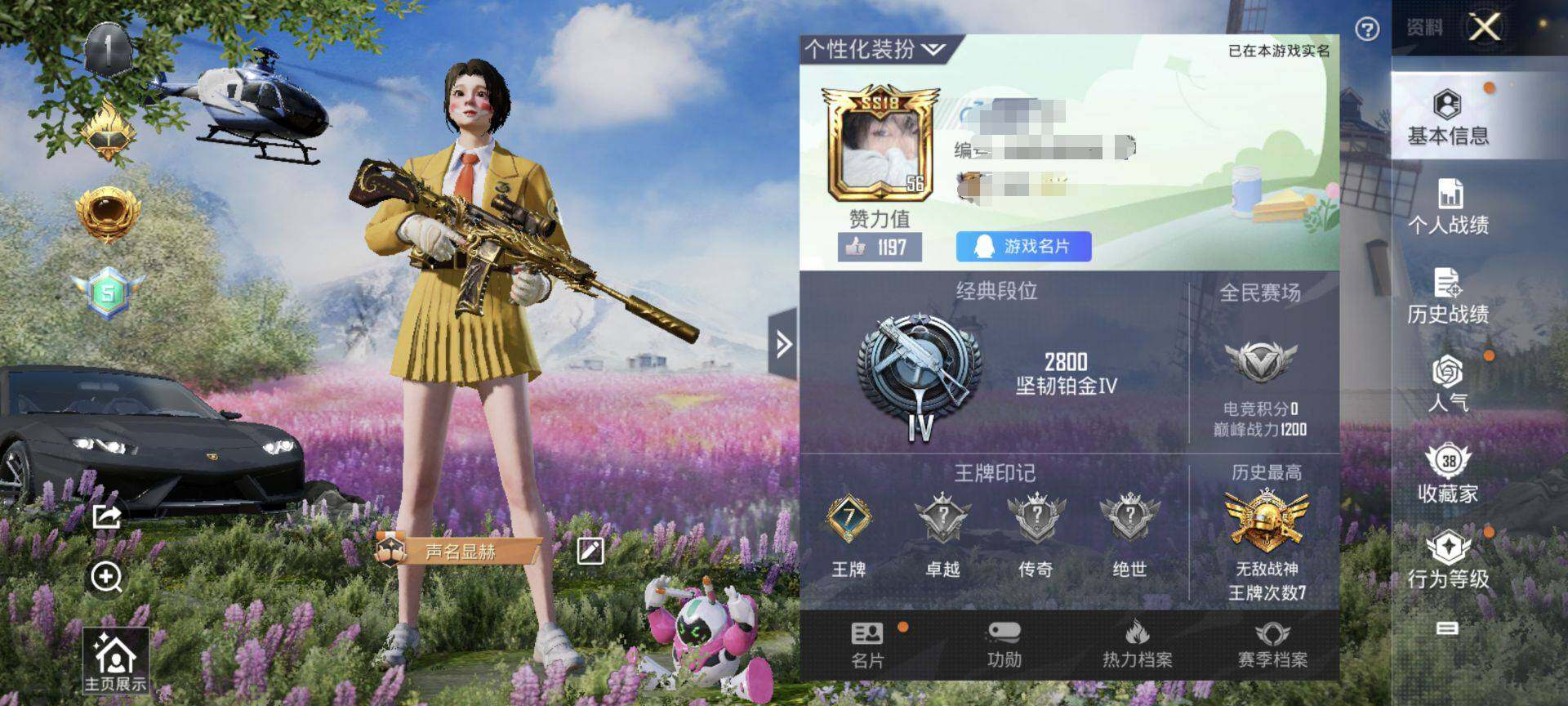 HPEY3283660和平精英账号详情图15