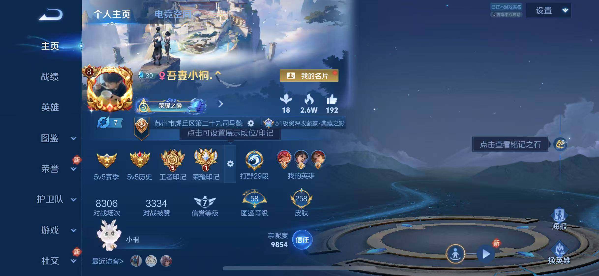 WZJZ3206251王者荣耀账号详情图19