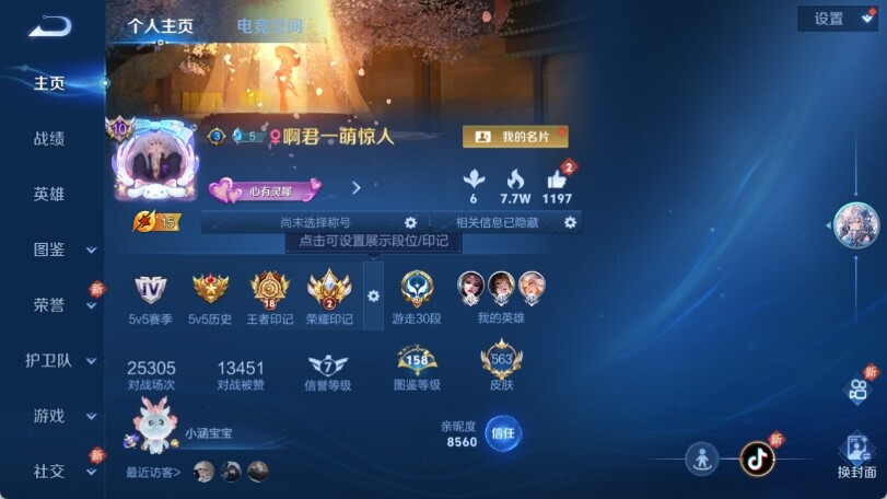 WZ033202185王者荣耀账号详情图12 WZ033202185王者荣耀账号详情图12