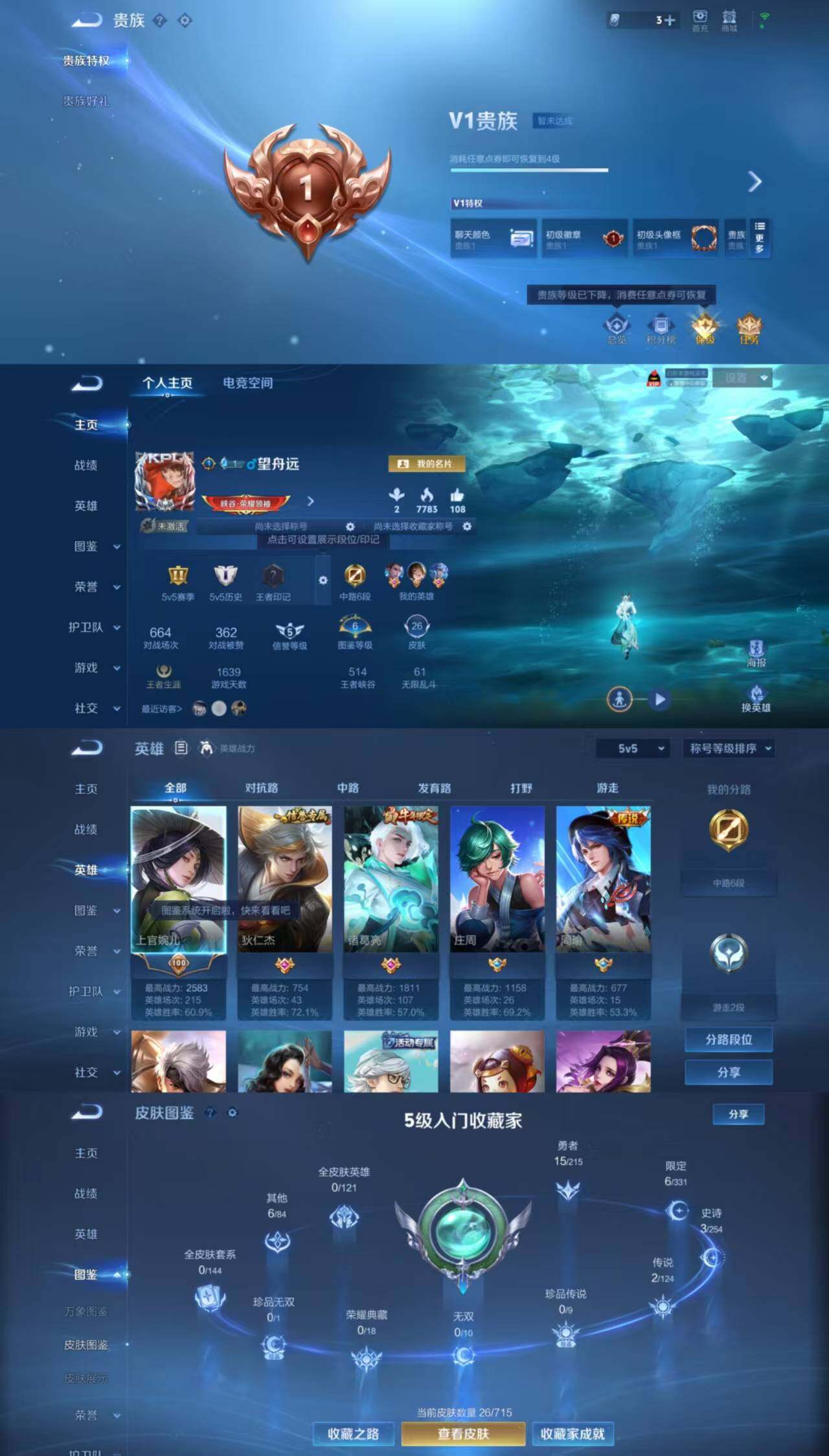 WZYXS3204419王者荣耀账号详情图2 WZYXS3204419王者荣耀账号详情图2