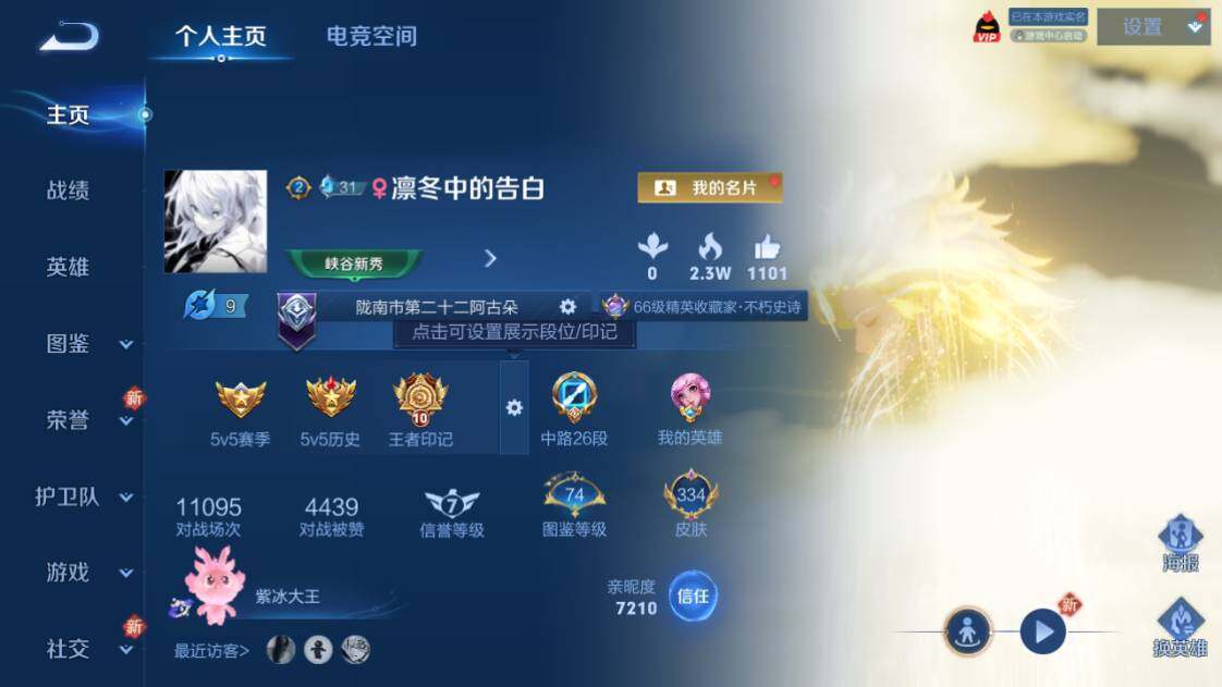 WZ033204290王者荣耀账号详情图3 WZ033204290王者荣耀账号详情图3