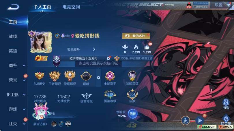 WZ033205167王者荣耀账号详情图14