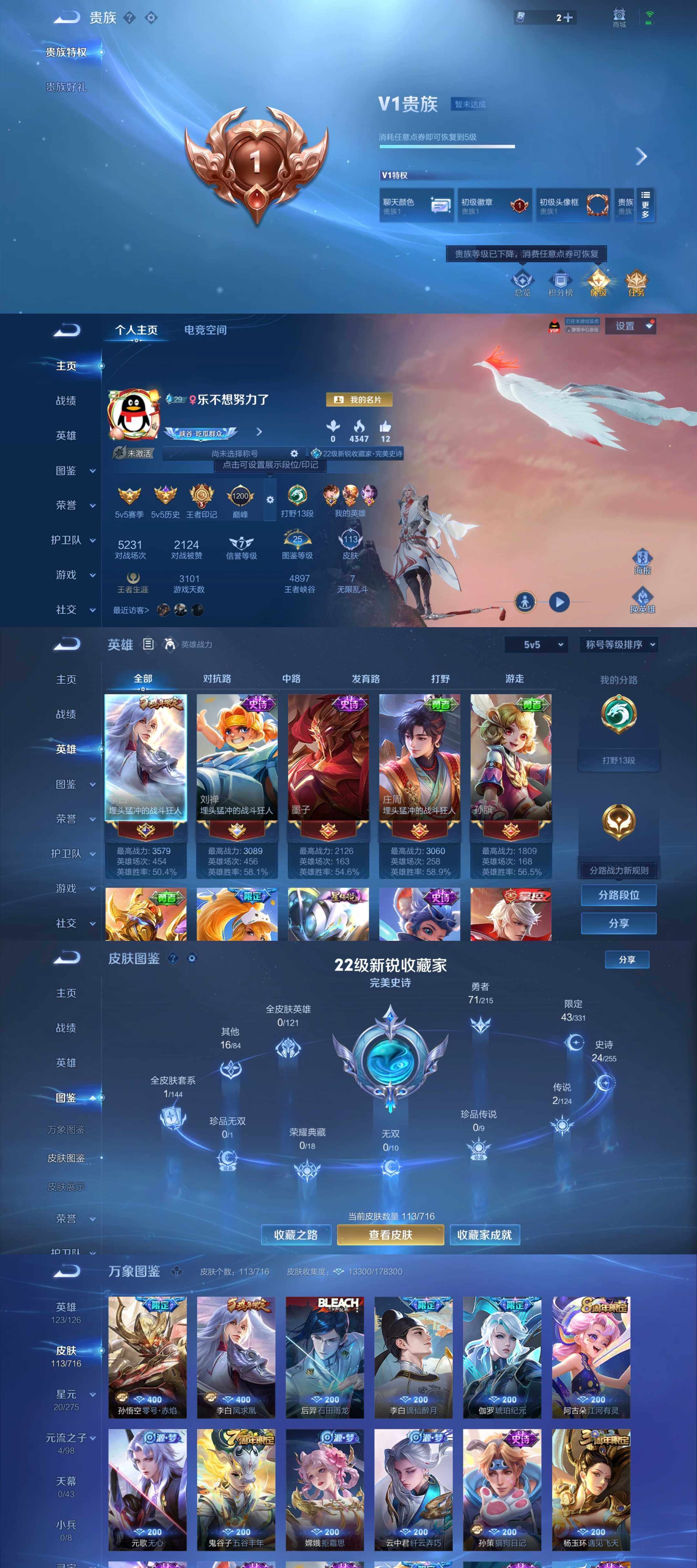 WZYXS3205093王者荣耀账号详情图2
