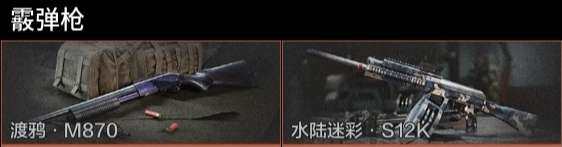 AQZY33602暗区突围账号详情图8