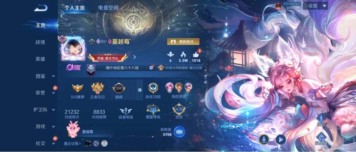 WZ033206080王者荣耀账号详情图11