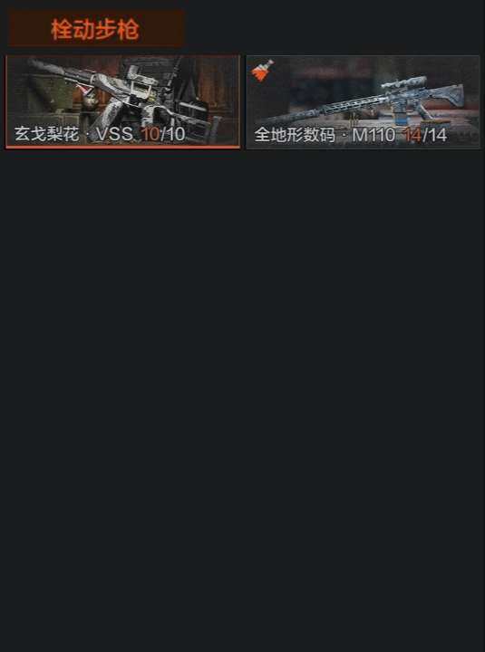 AQZY33587暗区突围账号详情图8 AQZY33587暗区突围账号详情图8