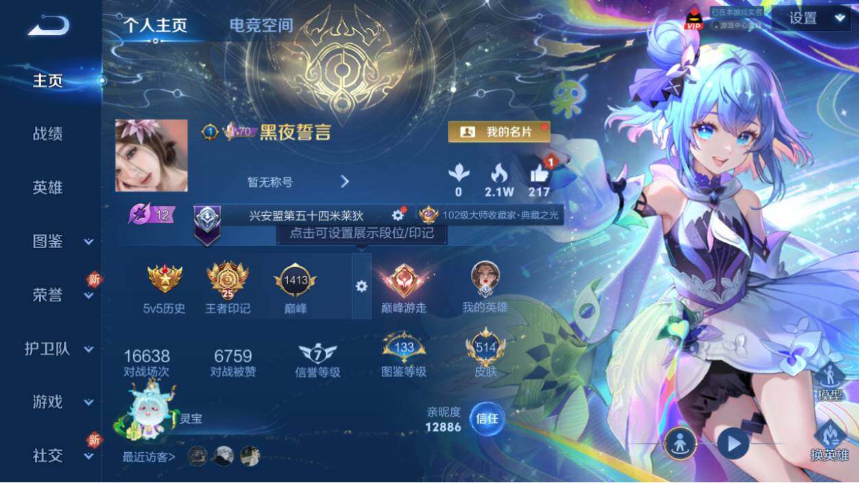 WZ033206654王者荣耀账号详情图11