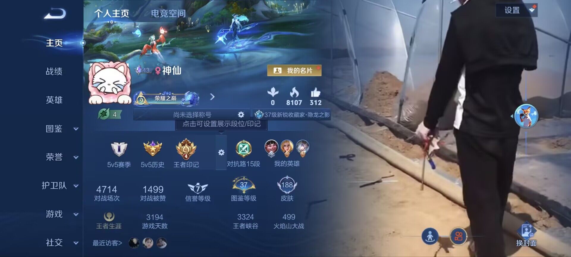 WZ033206991王者荣耀账号详情图2 WZ033206991王者荣耀账号详情图2
