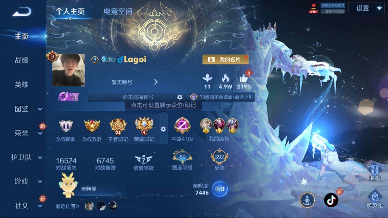 WZ033206806王者荣耀账号详情图9