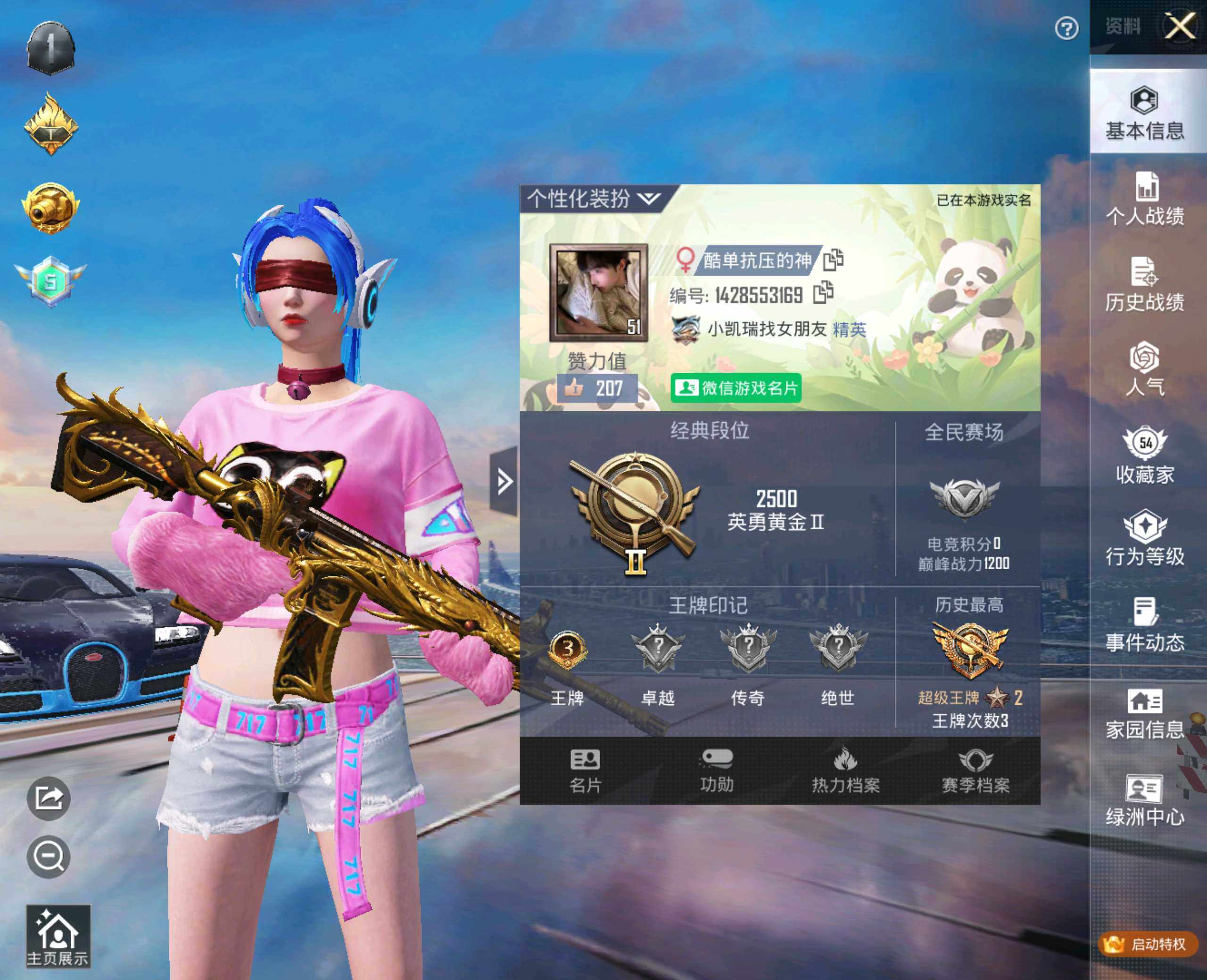 HPHJJ3288510和平精英账号详情图12