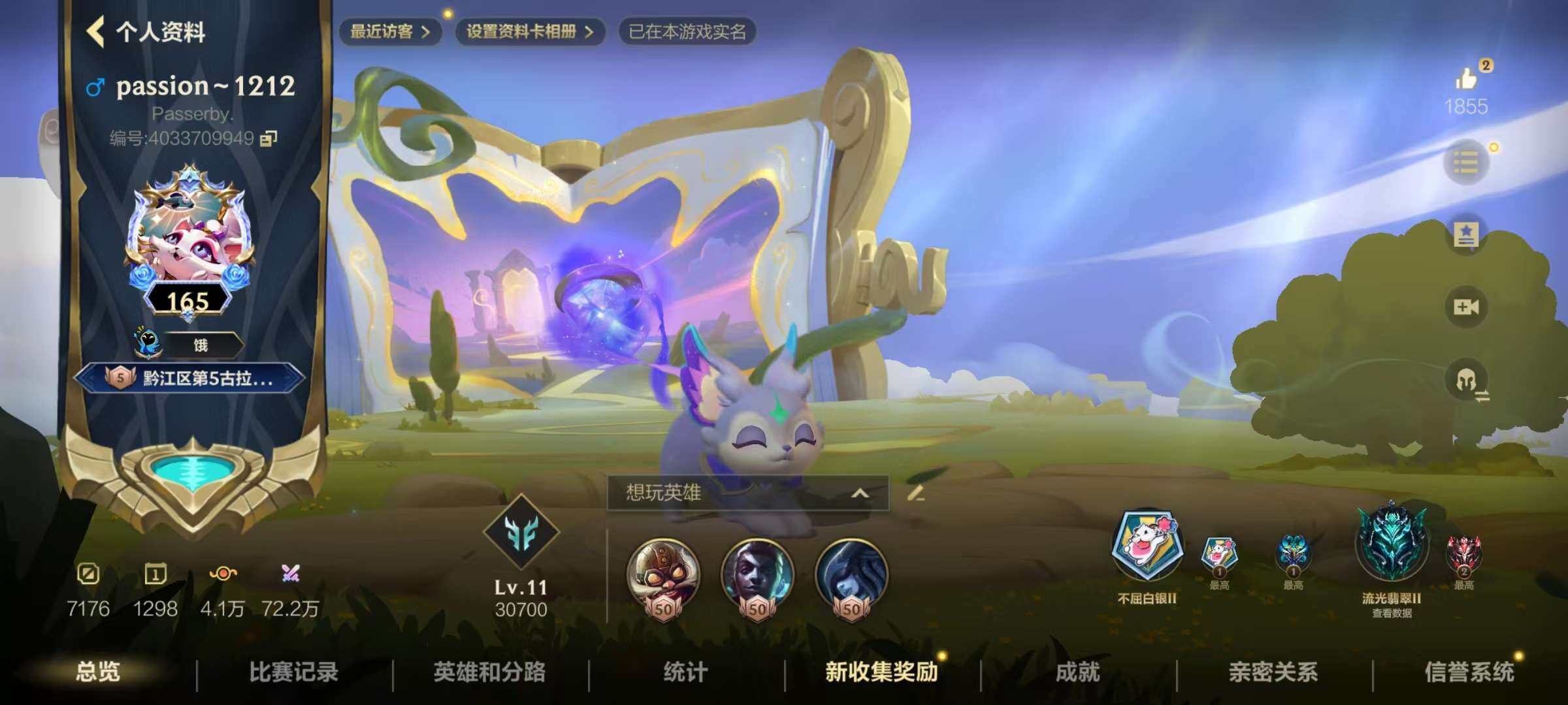 LOMZY31461LOL手游账号详情图3