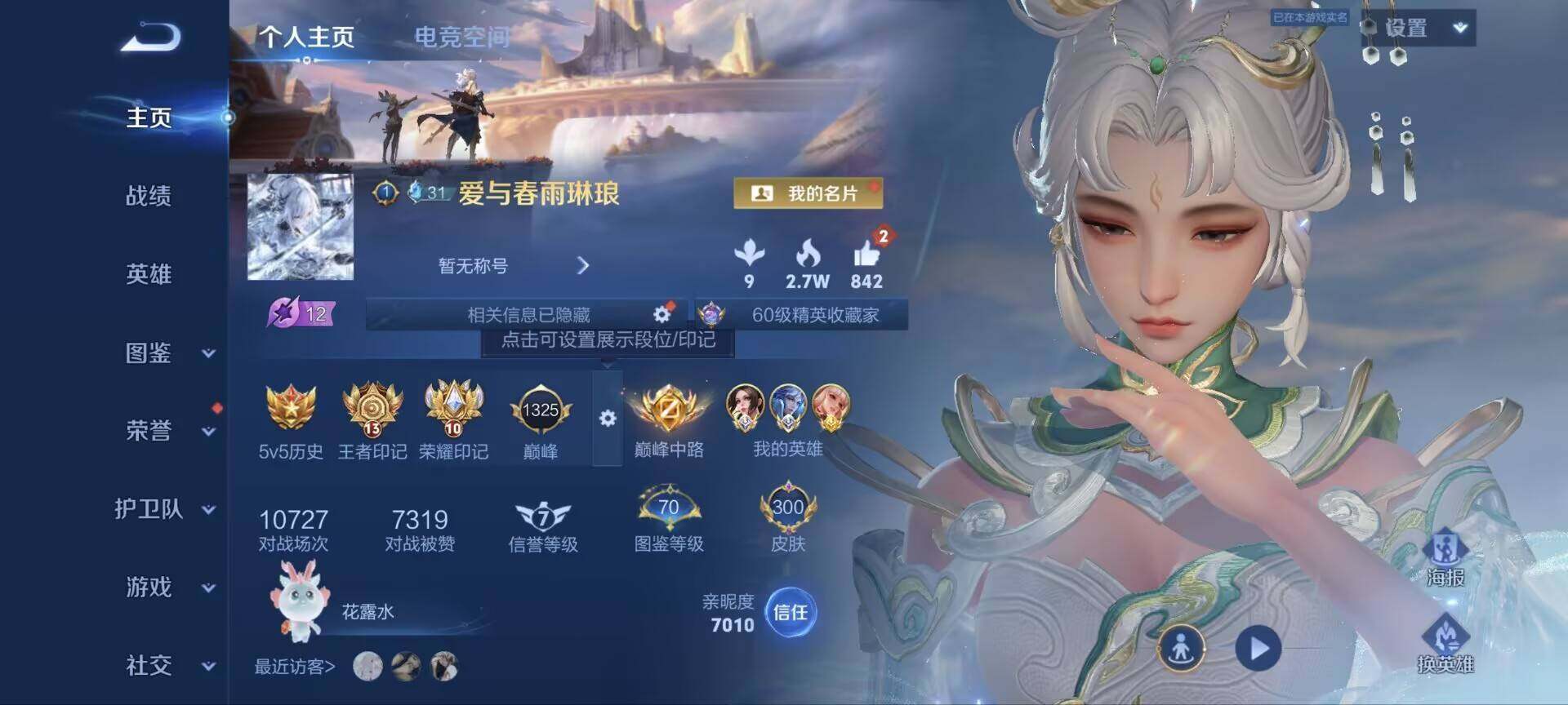 WZ033208493王者荣耀账号详情图13 WZ033208493王者荣耀账号详情图13