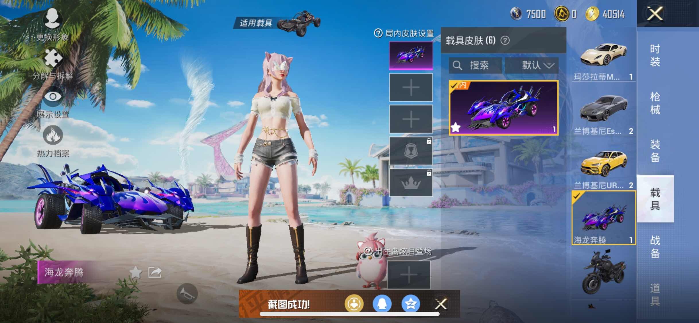HPYXS3295611和平精英账号详情图16 HPYXS3295611和平精英账号详情图16