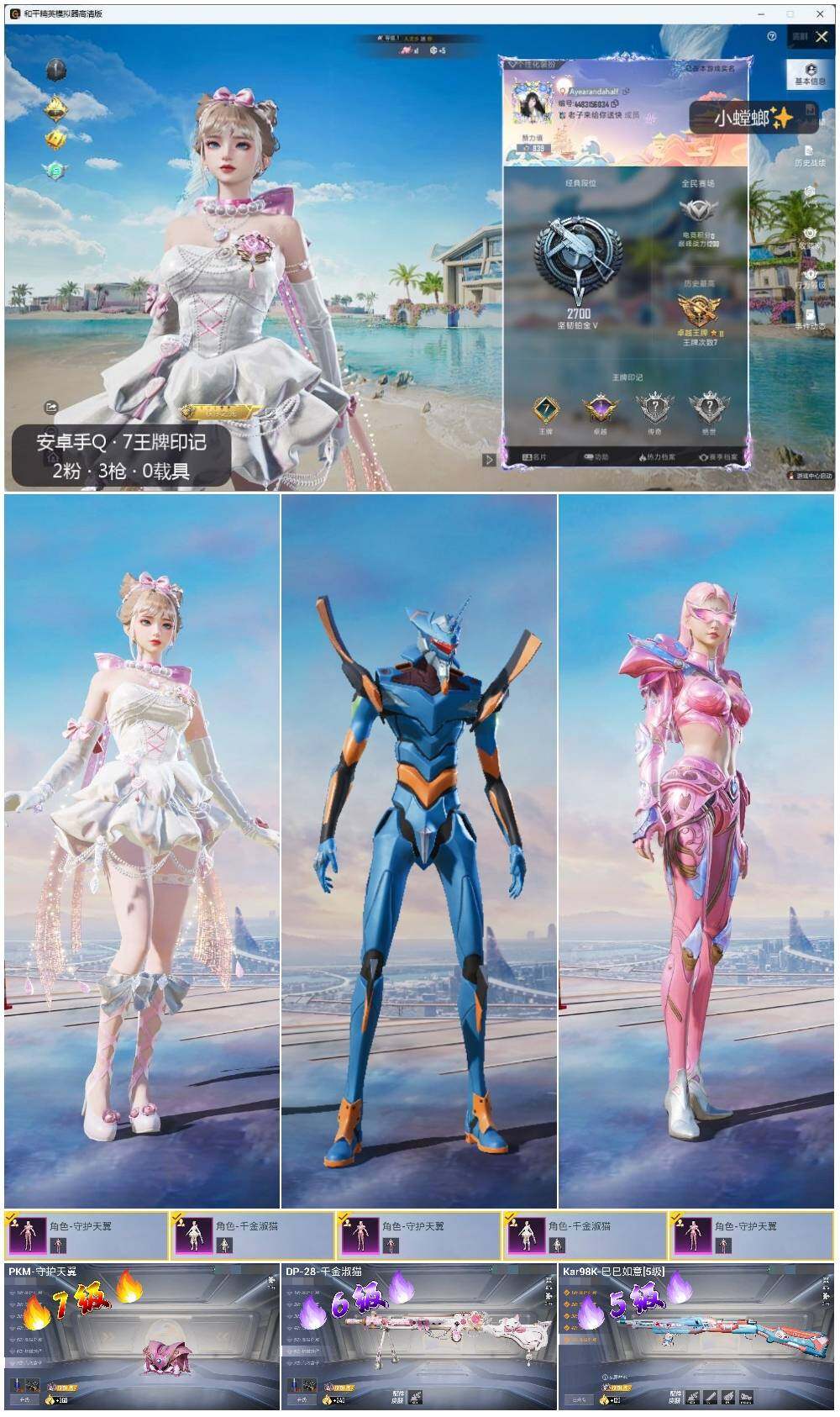 HPLE3336395和平精英账号详情图2 HPLE3336395和平精英账号详情图2