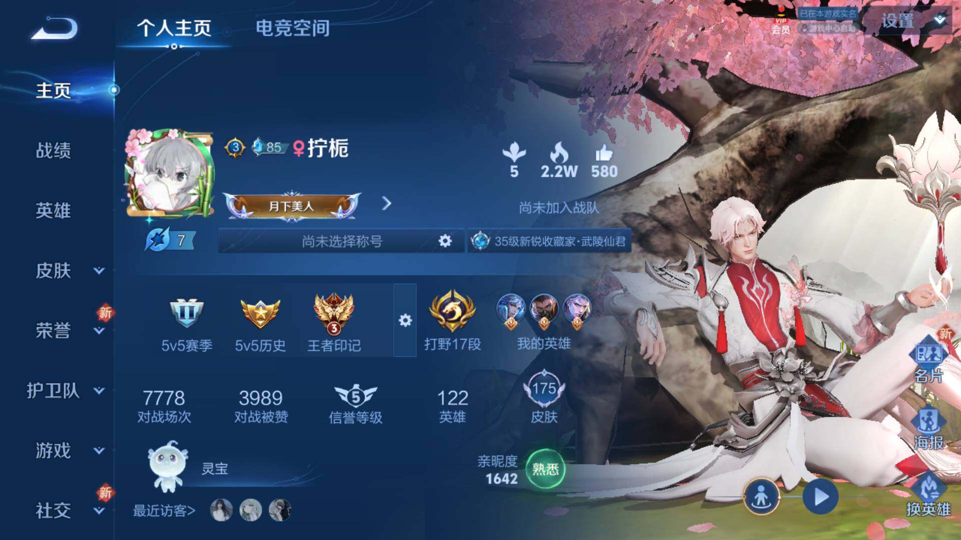 WZLFY3210447王者荣耀账号详情图12