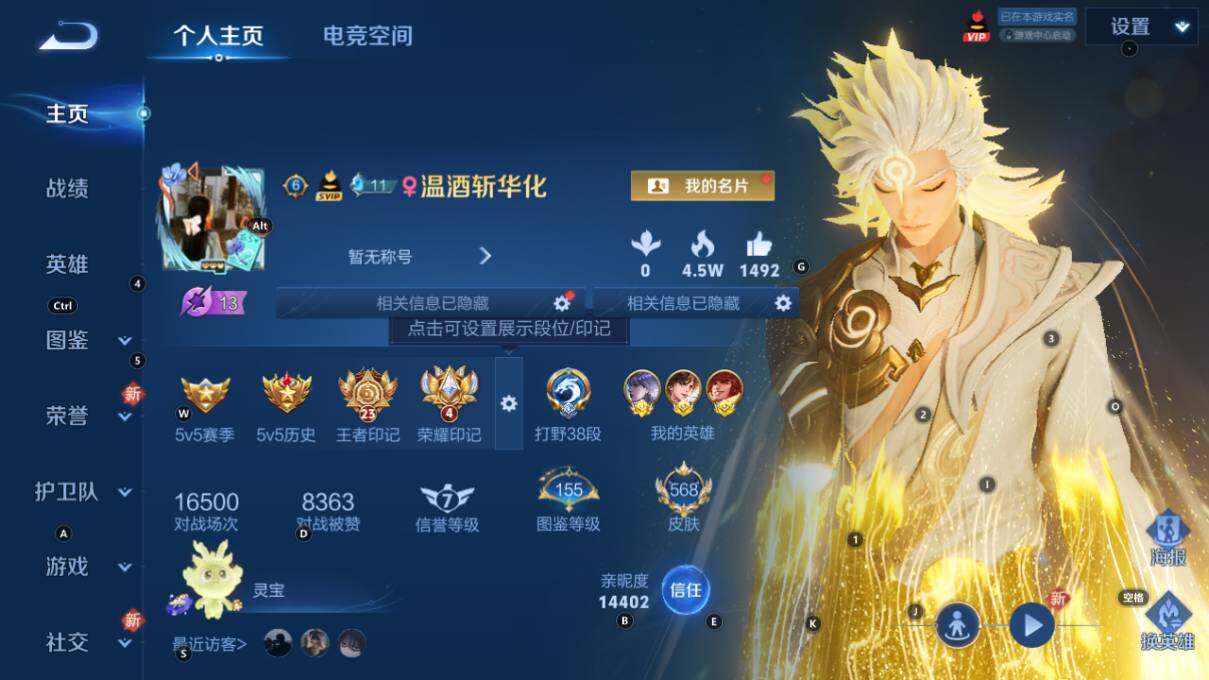 WZ033216286王者荣耀账号详情图12