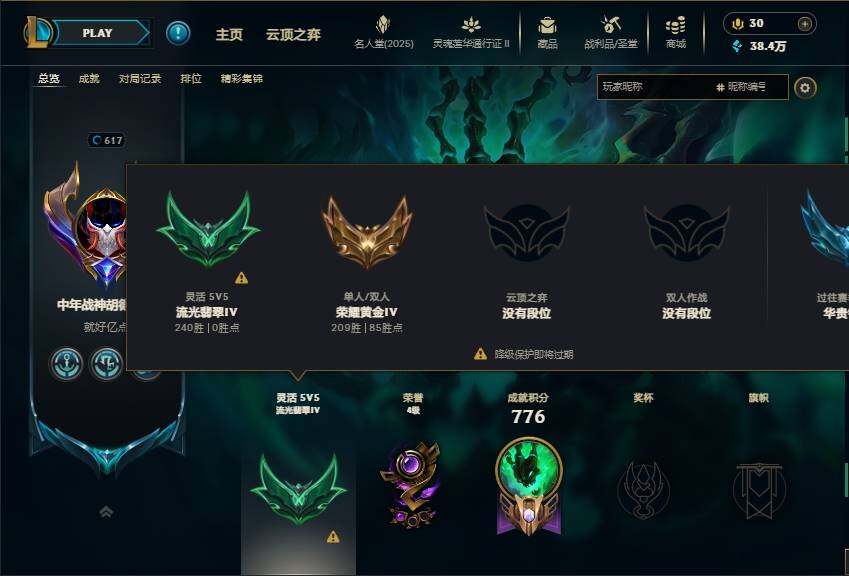LOLEY39134英雄联盟账号详情图11 LOLEY39134英雄联盟账号详情图11