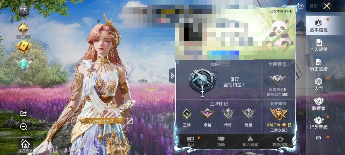 HPEY3298137和平精英账号详情图7