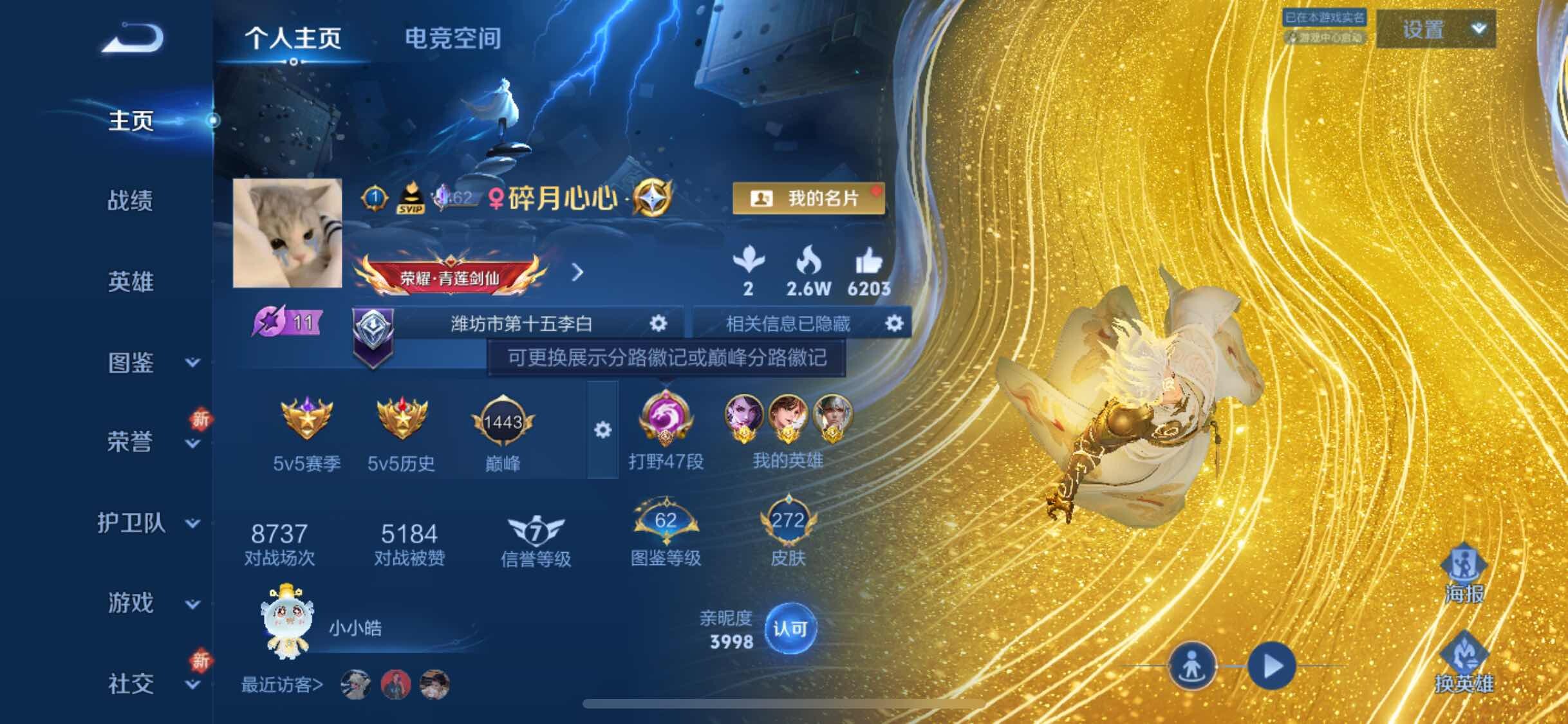 WZYXS3225354王者荣耀账号详情图2 WZYXS3225354王者荣耀账号详情图2
