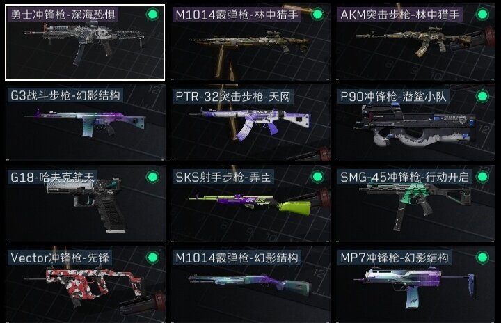 SJZZY313799三角洲行动账号详情图5 SJZZY313799三角洲行动账号详情图5