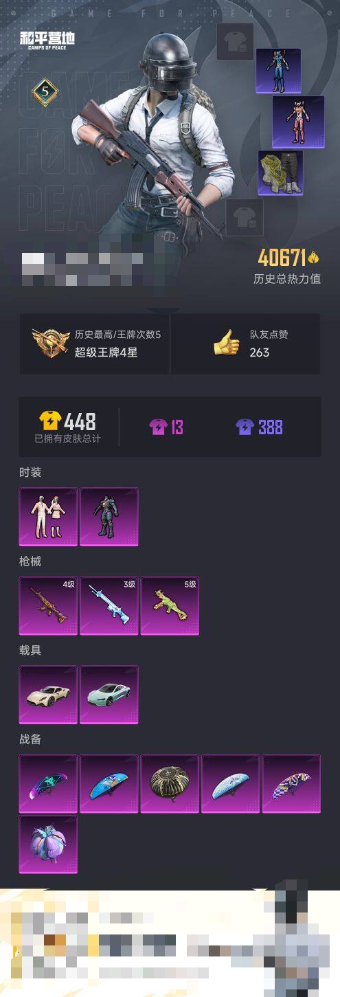 HPEY3298787和平精英账号详情图5