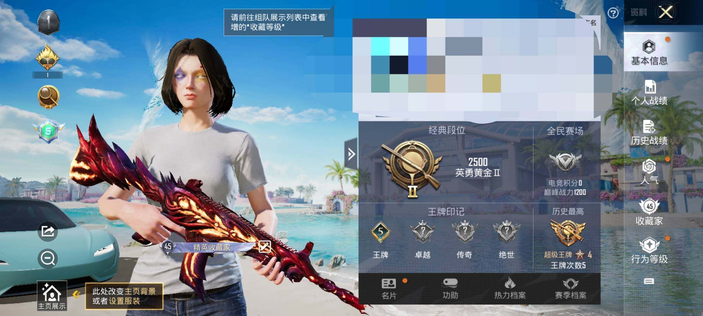 HPEY3298787和平精英账号详情图7