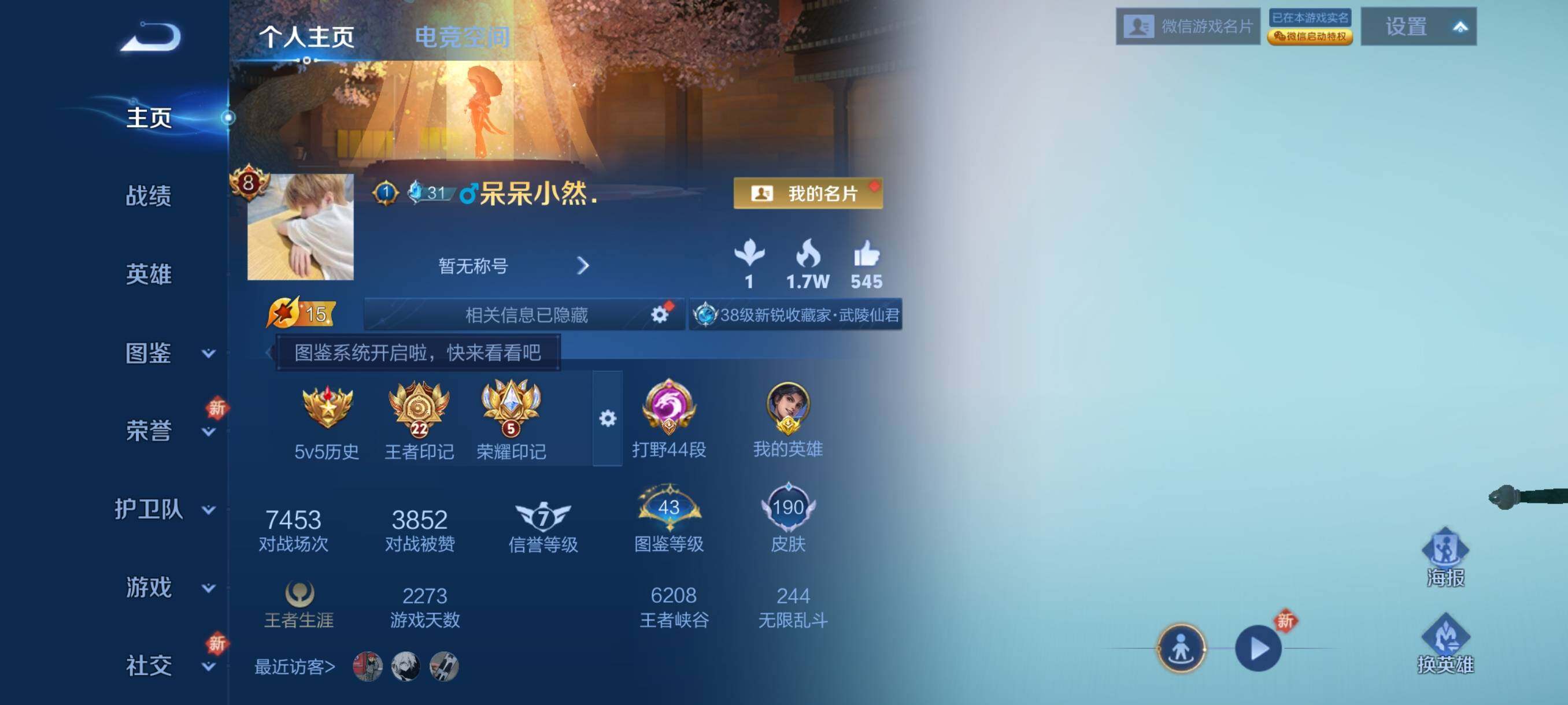 WZHJJ3226620王者荣耀账号详情图8 WZHJJ3226620王者荣耀账号详情图8