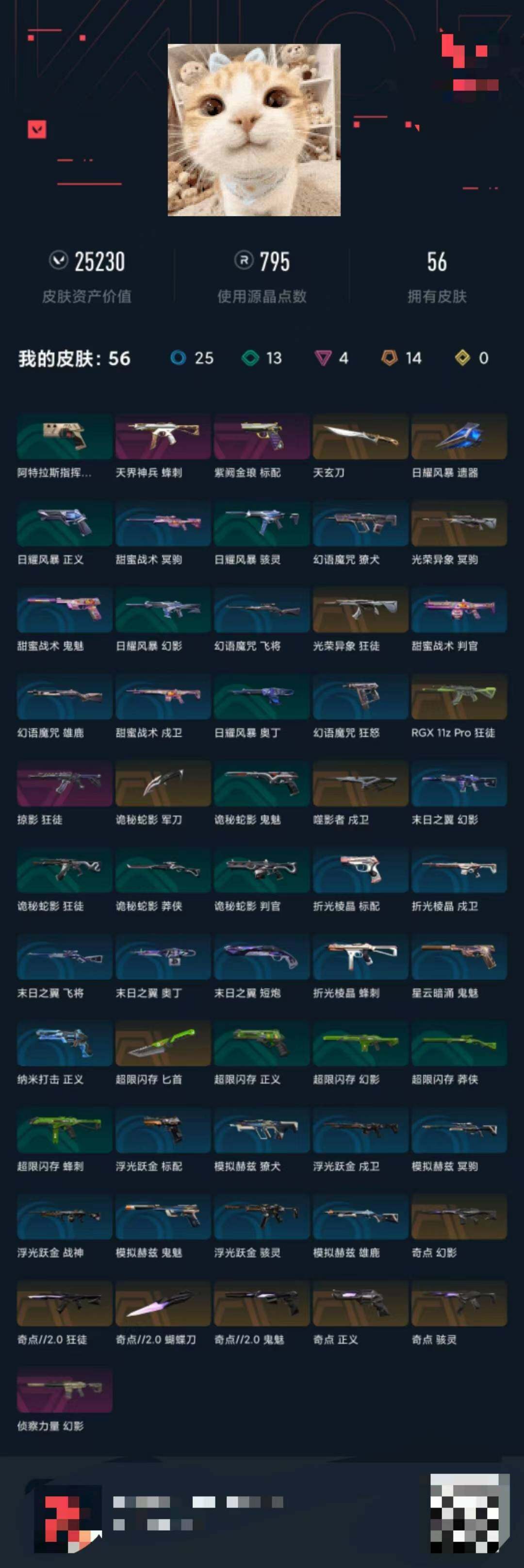WWQEY39175无畏契约账号详情图5 WWQEY39175无畏契约账号详情图5