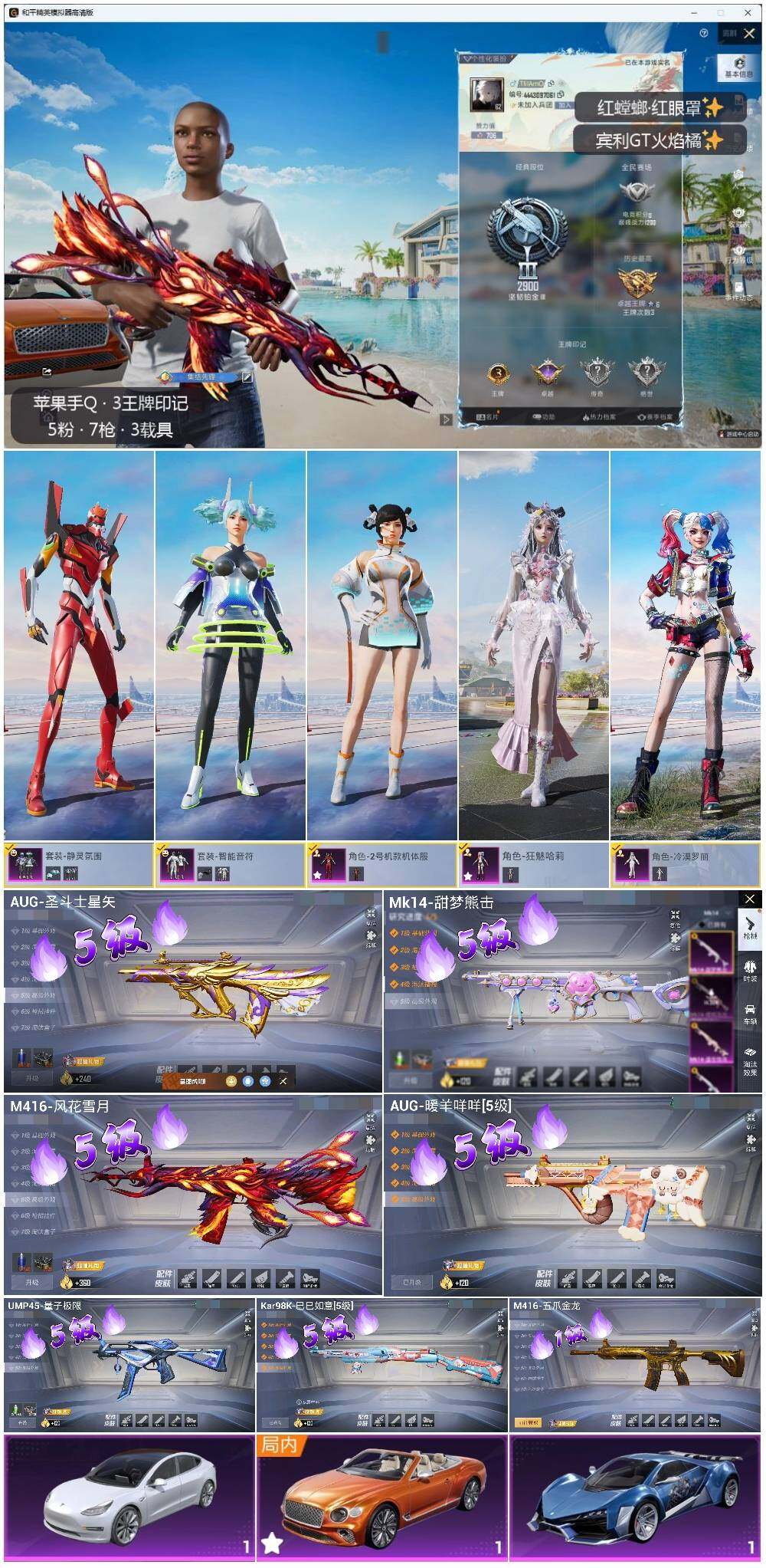 HPLE3305947和平精英账号详情图2 HPLE3305947和平精英账号详情图2