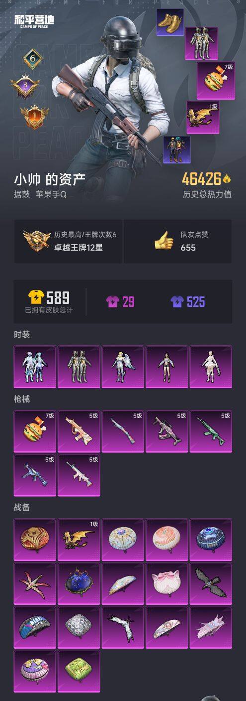 HP0345622和平精英账号详情图7 HP0345622和平精英账号详情图7