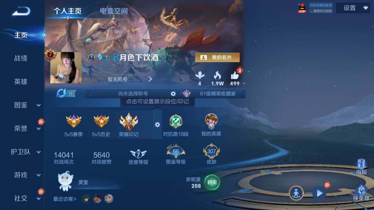 WZ0349230王者荣耀账号详情图8