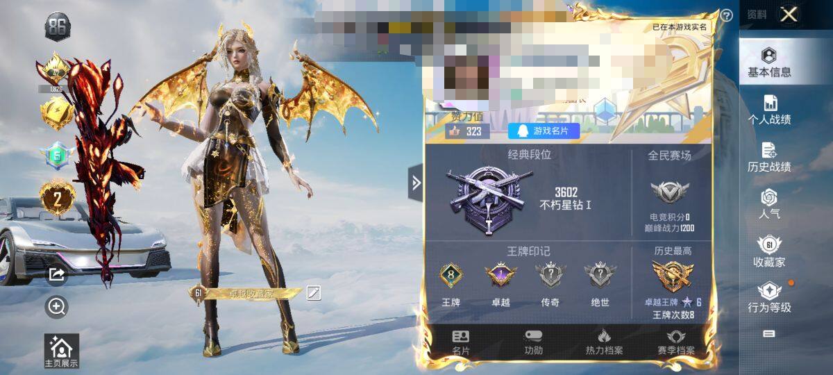 HPEY3307465和平精英账号详情图7