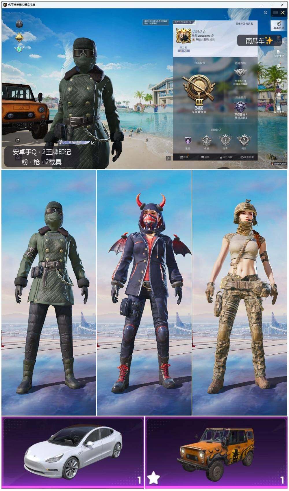 HPLE3336453和平精英账号详情图2 HPLE3336453和平精英账号详情图2