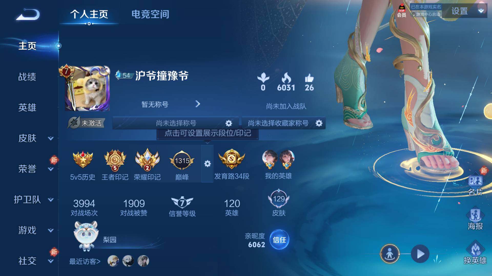 WZLFY3237033王者荣耀账号详情图5