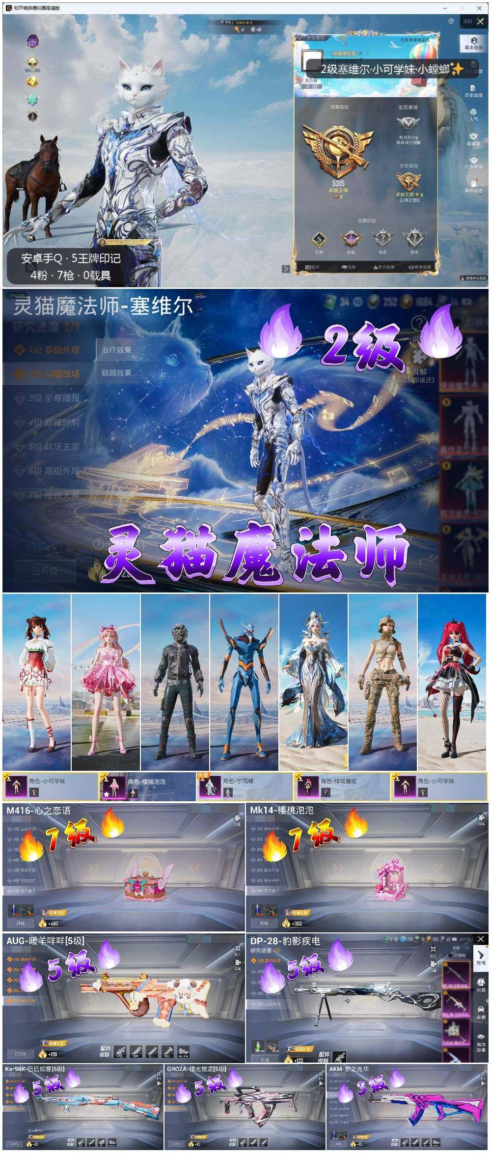 HPLX3336763和平精英账号详情图2