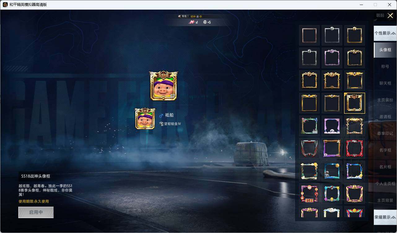 HPLX3336770和平精英账号详情图5