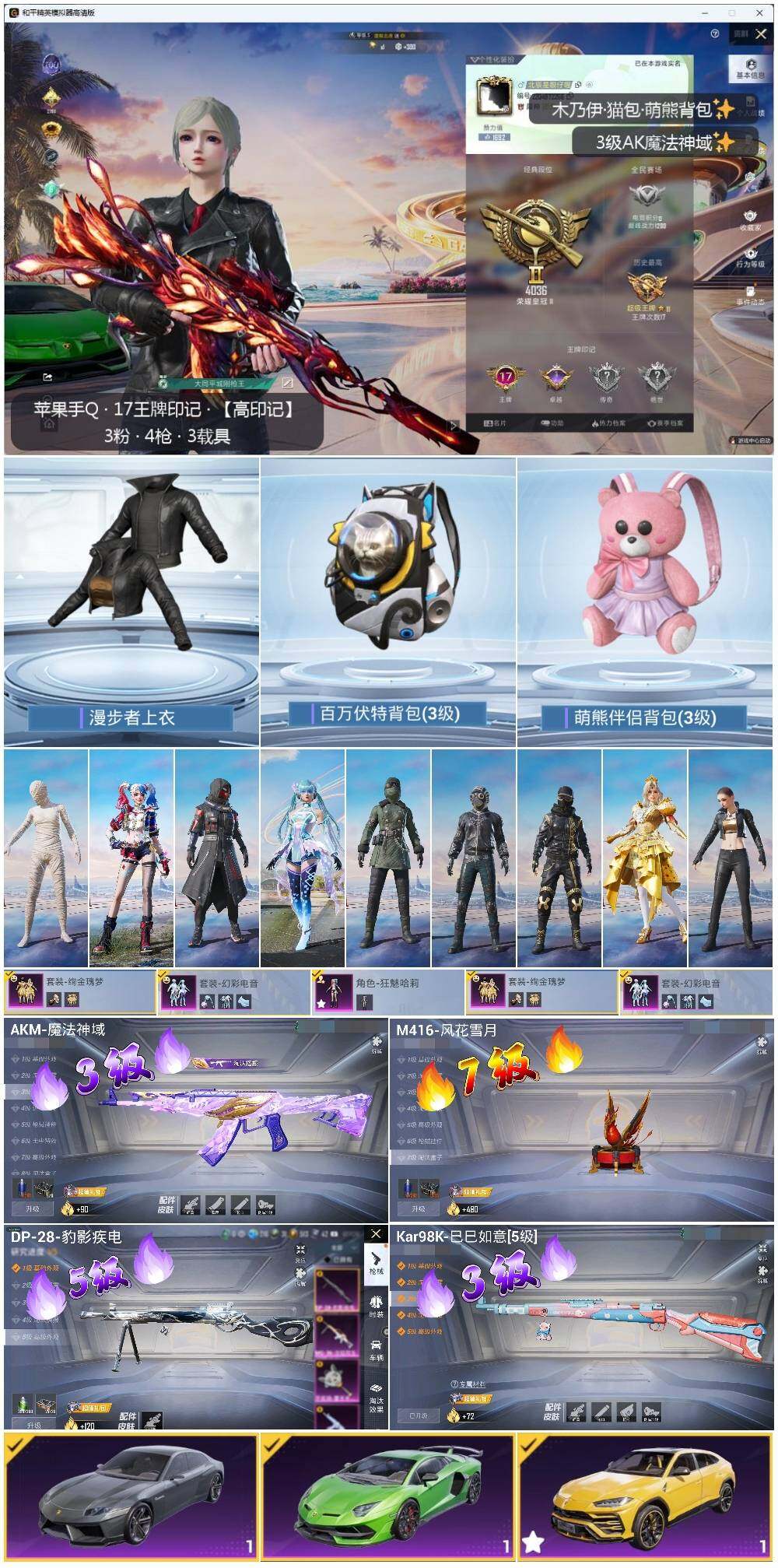HPLE3310557和平精英账号详情图2 HPLE3310557和平精英账号详情图2