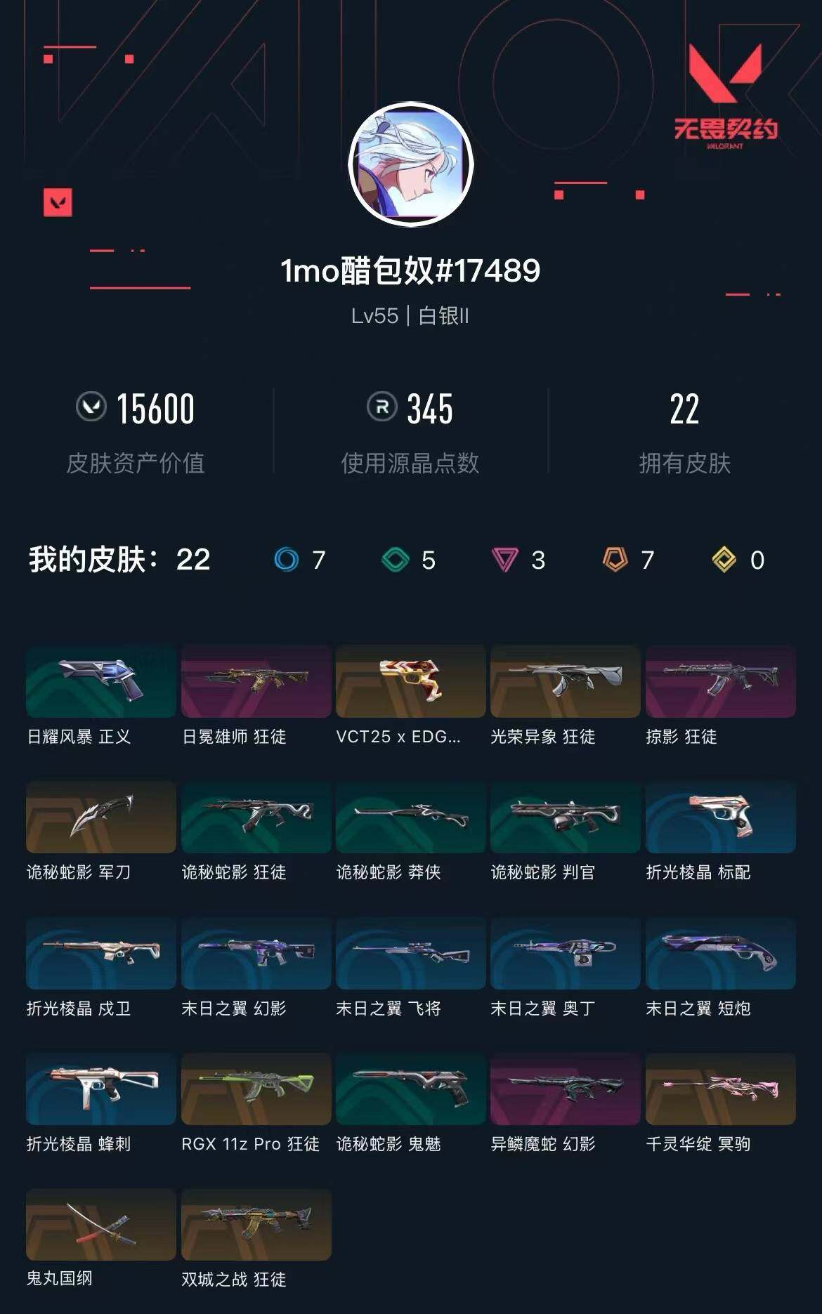 WWQXL310175无畏契约账号详情图2 WWQXL310175无畏契约账号详情图2
