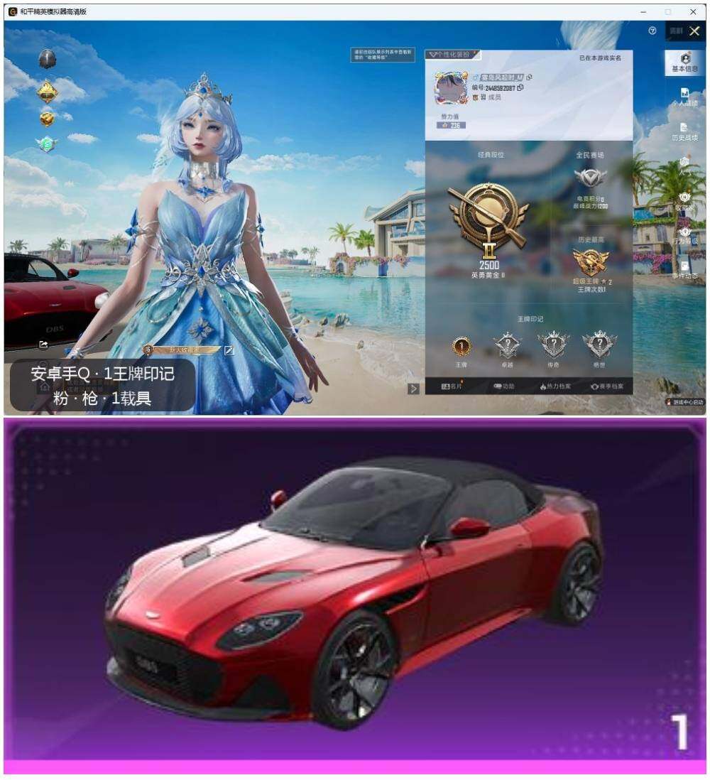HPLE3314286和平精英账号详情图2 HPLE3314286和平精英账号详情图2